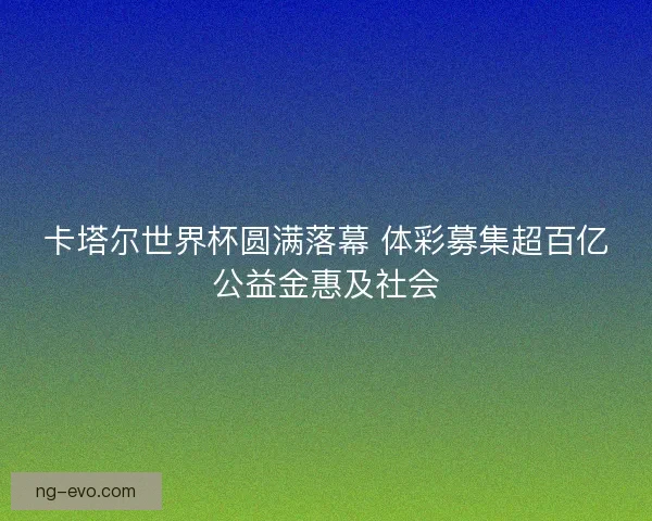 卡塔尔世界杯圆满落幕 体彩募集超百亿公益金惠及社会